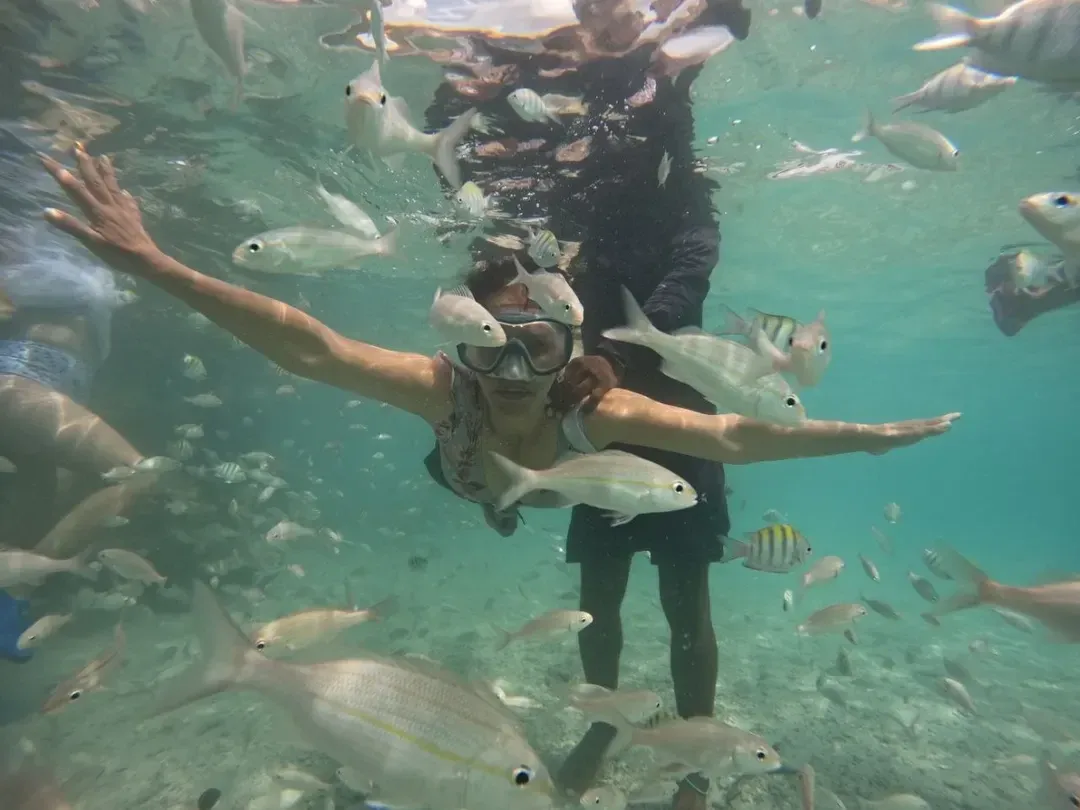 Snorkel en aguas claras de las islas