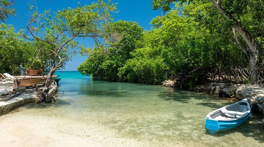 Snorkel con vista a los arrecifes
