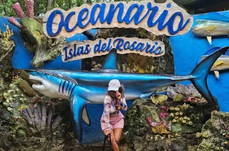 Pajarales opcional con acuario en ruta