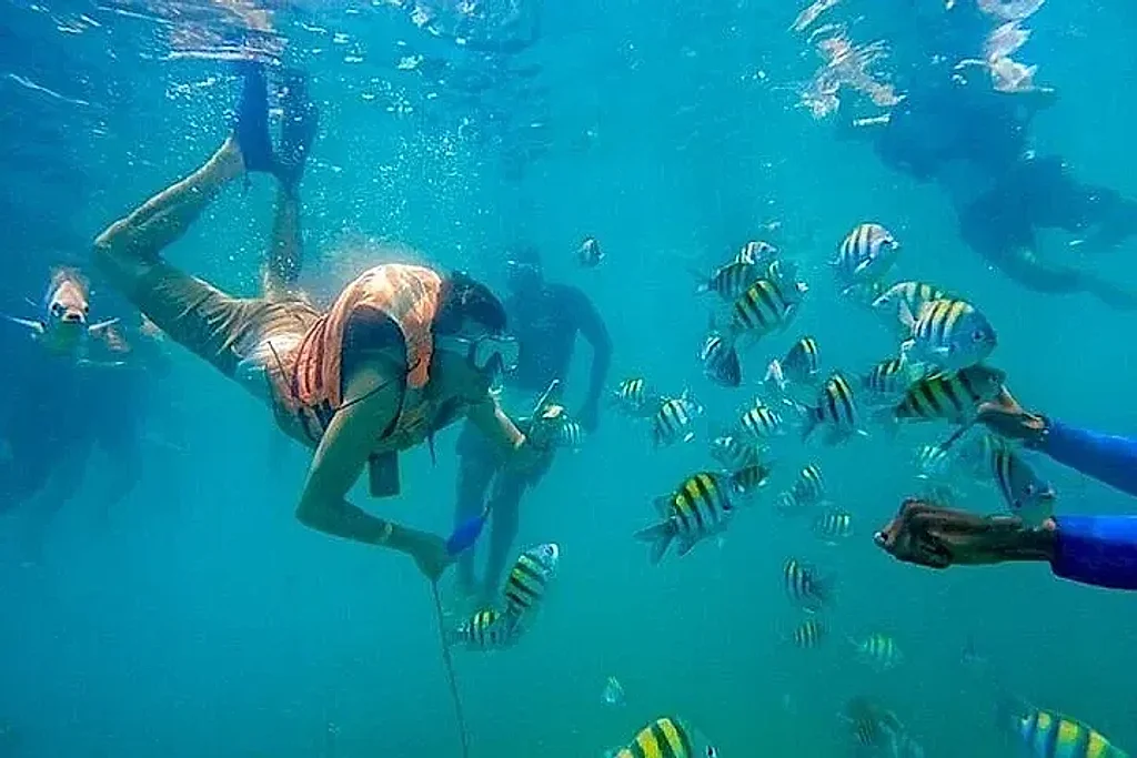 Crystal waters for the best snorkeling