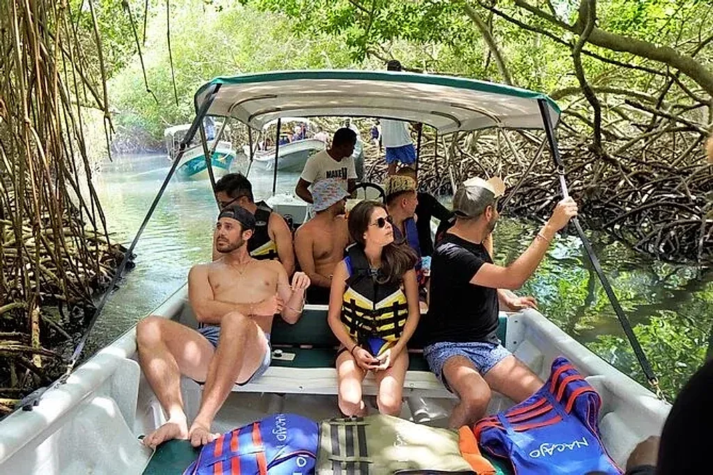 Magic that starts in the mangrove