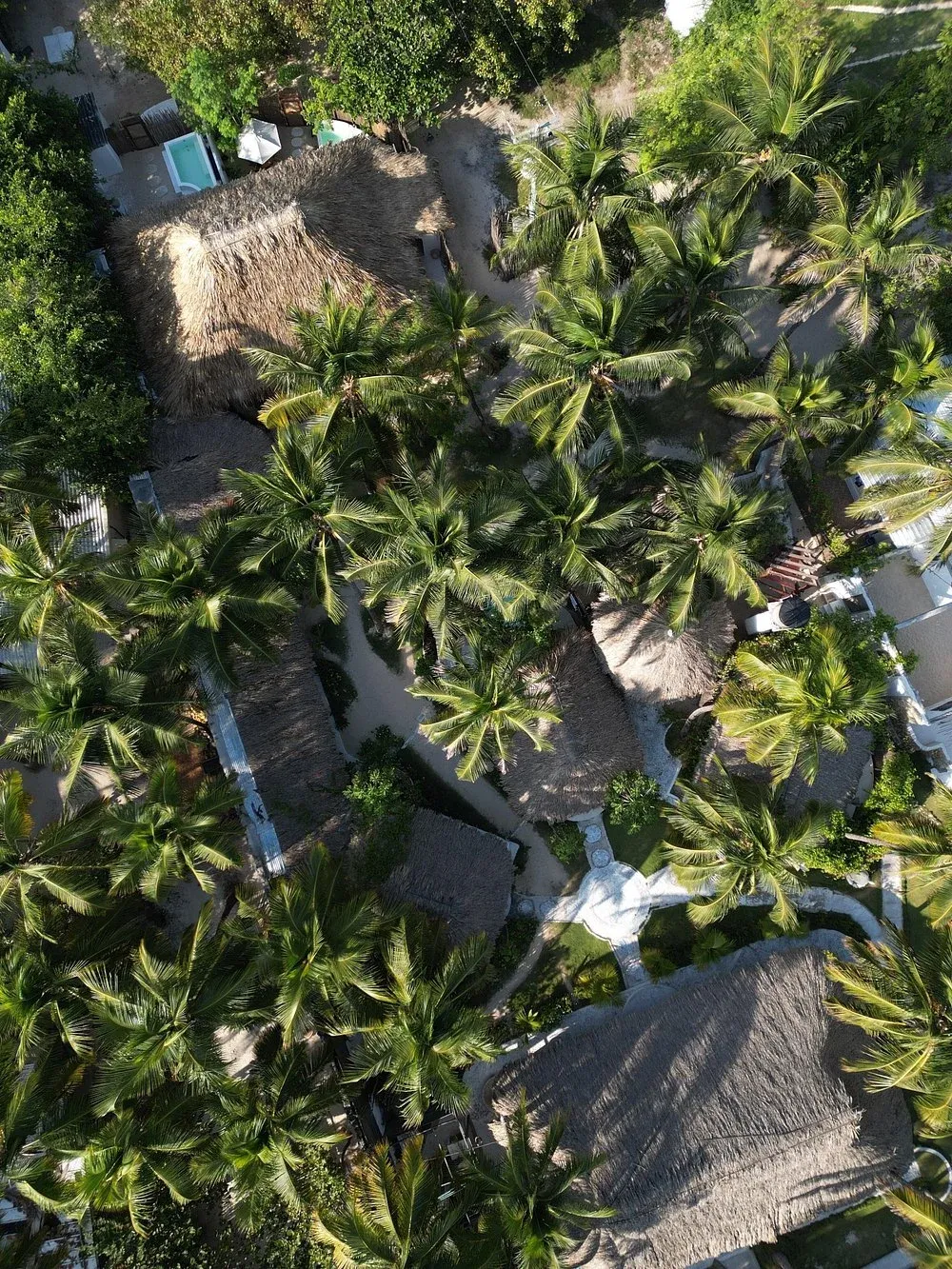 Playa o piscina: tú decides tu rincón